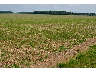 Property photo 94 - LAND AUCTION - 700+/- ACRES OFFERED IN 16 TRACTS IN ALLEN COUNTY, INDIANA
